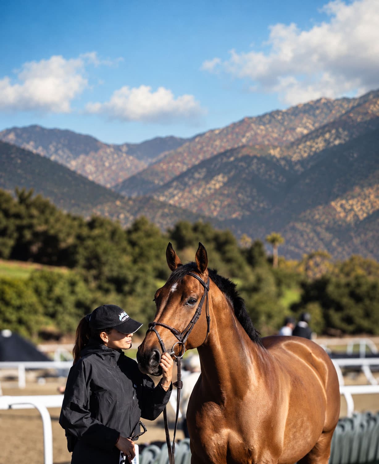 A rider stands with a bay horse in front of the San Gabriel Mountains at Santa Anita
