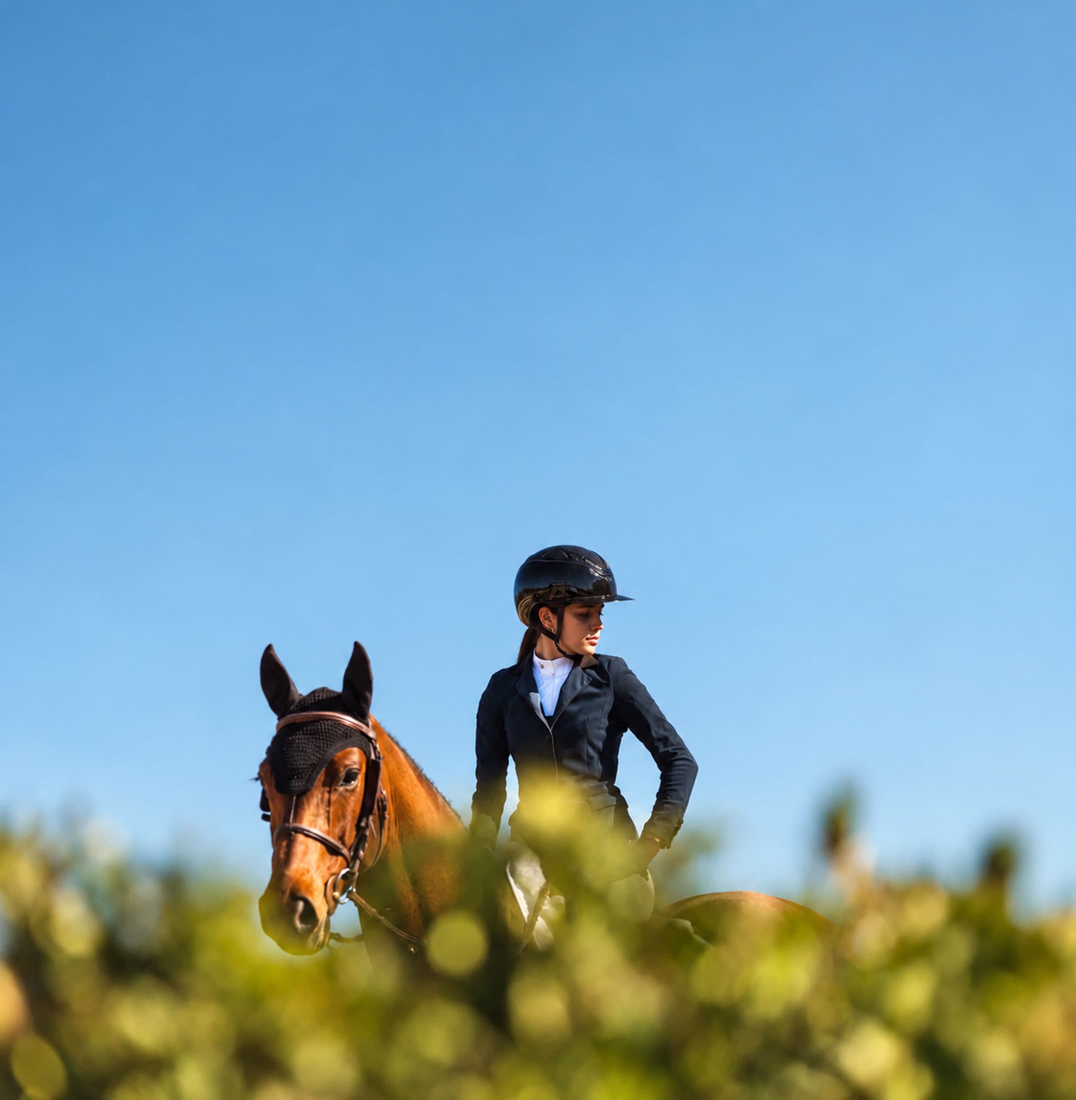 A rider and her horse pause above a hedge under a clear sky
