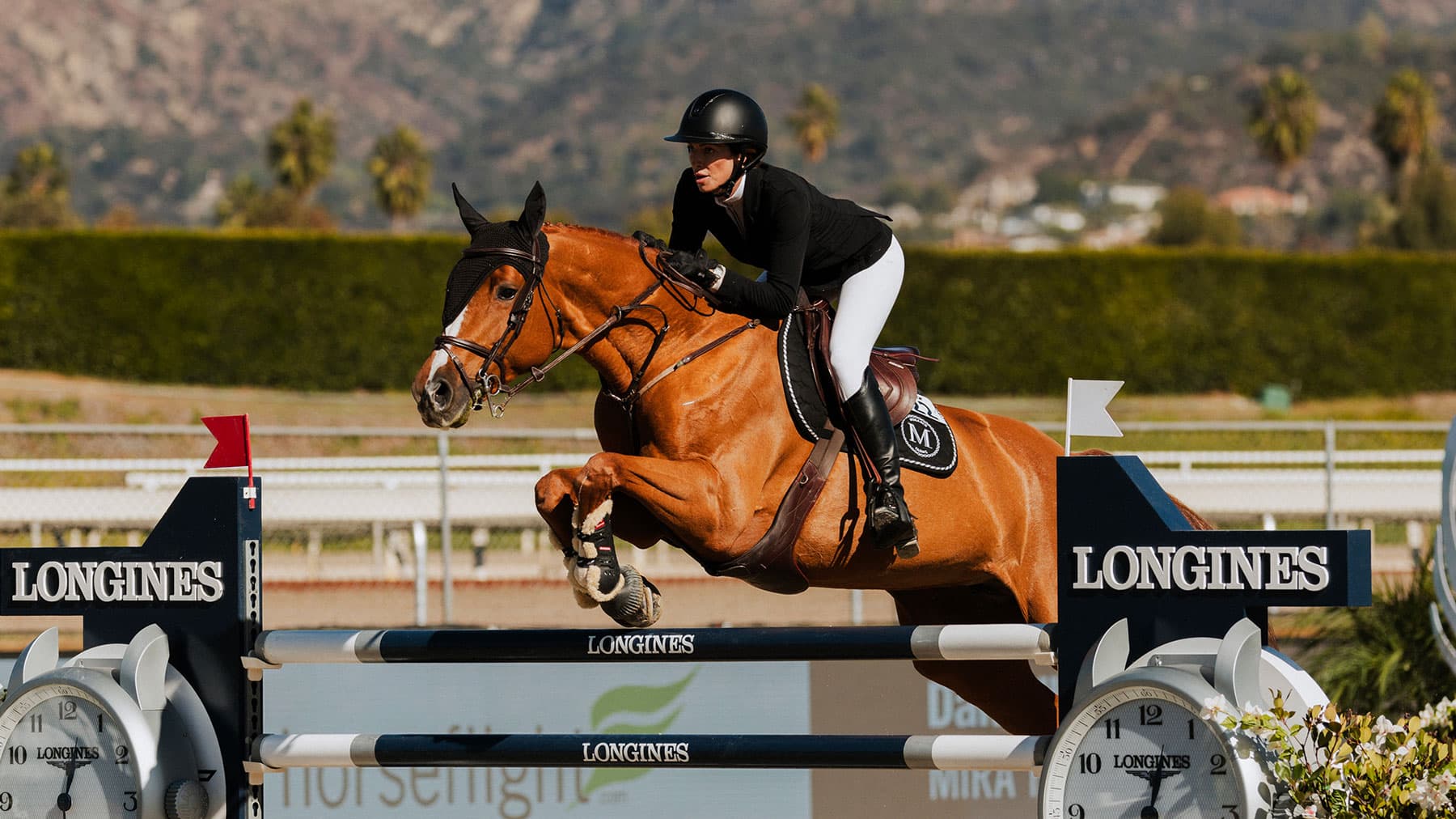 A chestnut horse and rider clearing a Longines fence at Santa Anita, mountains behind