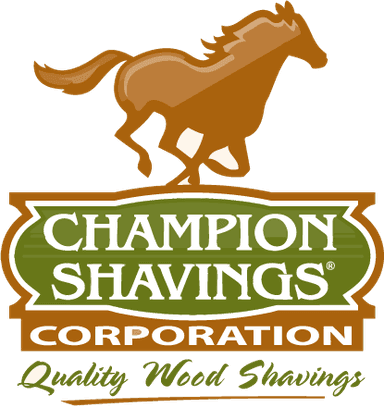 Champion Shavings