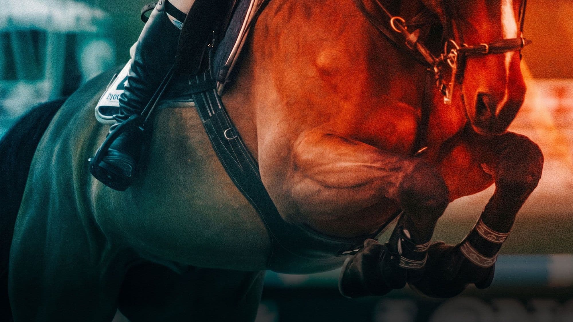 Santa Anita Show Jumping Resources