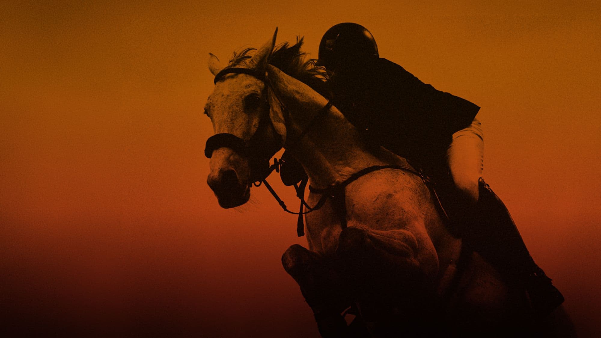 Santa Anita CSI5*-W — Santa Anita Show Jumping